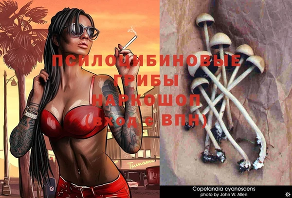мескалин Алексин