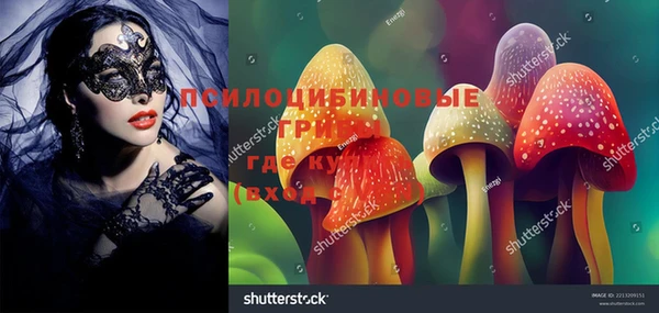 стаф Алексеевка